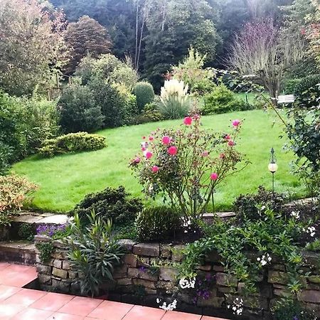 본 Ein Zuhause Mit Schonem Garten 아파트 외부 사진